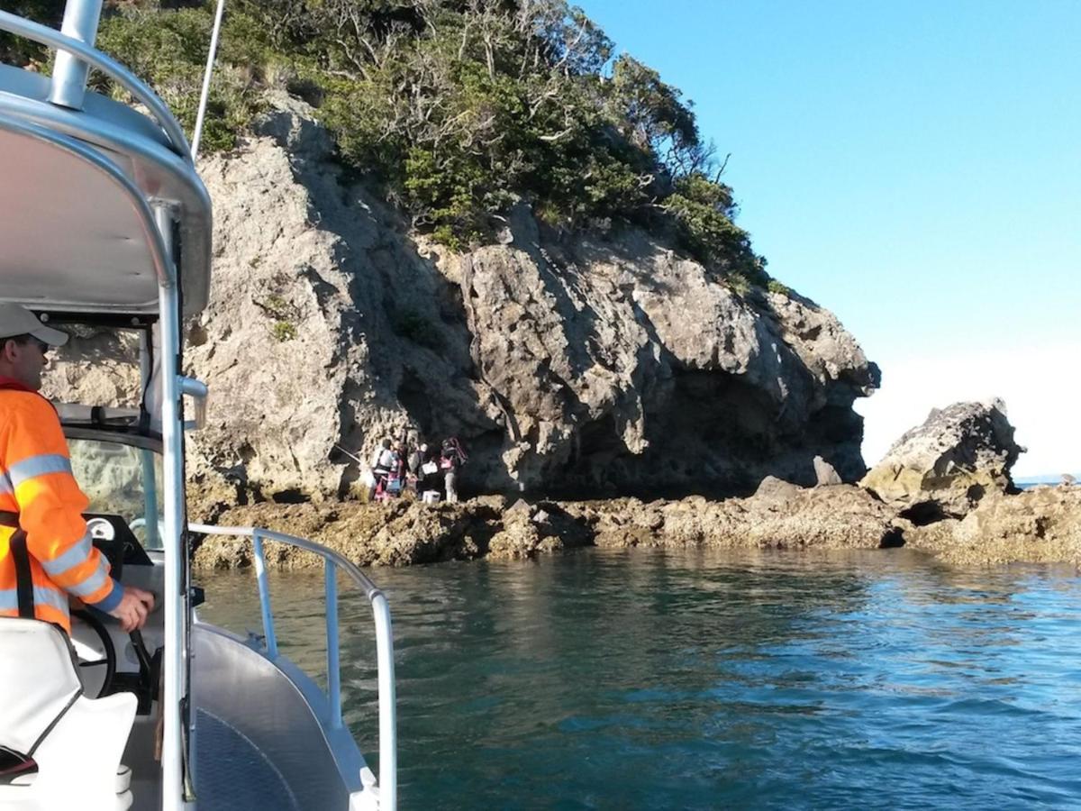 Anglers Lodge Coromandel Ngoại thất bức ảnh